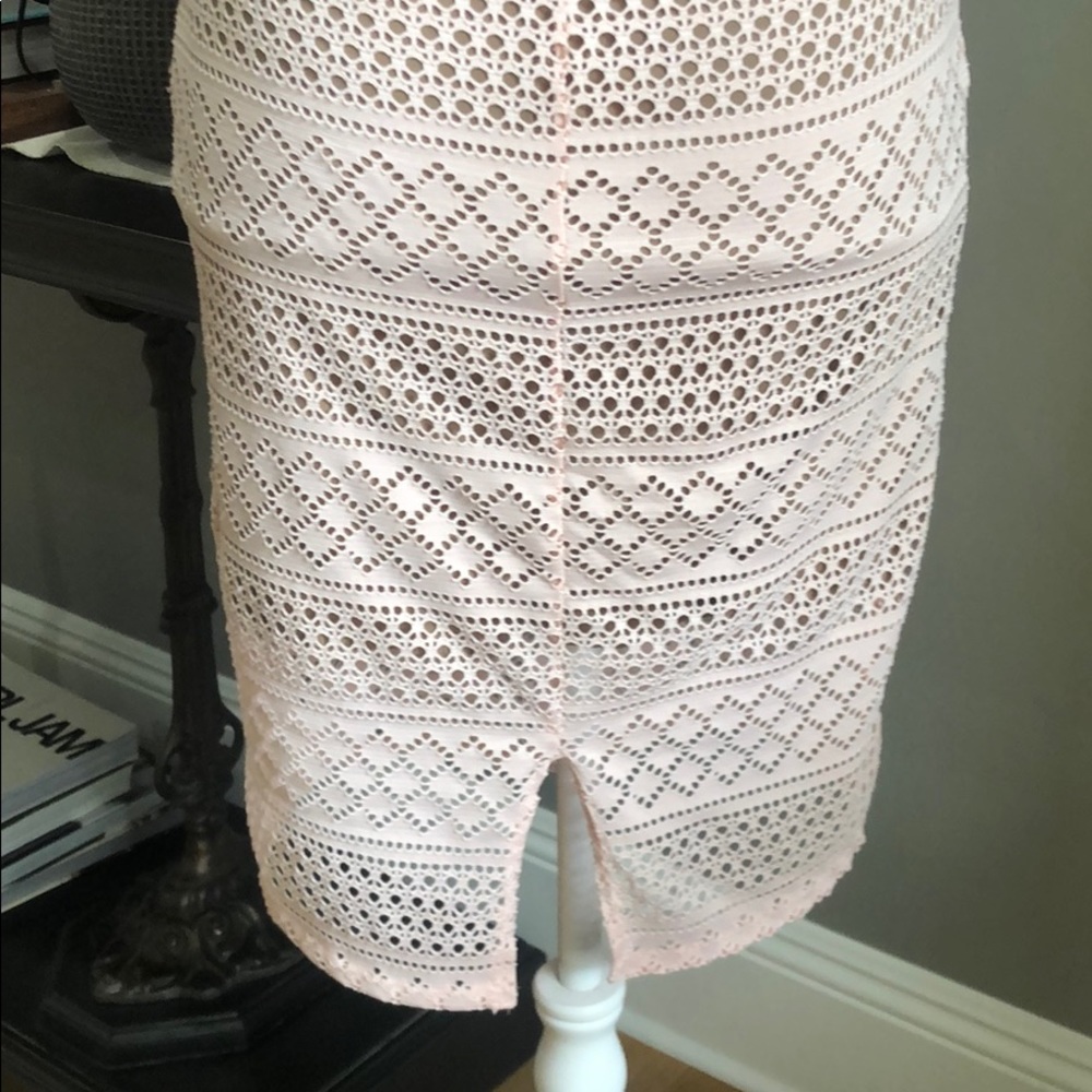(Sold) Poetry Bodycon Formfitting Blush Lace Dress - Picture 6 of 7